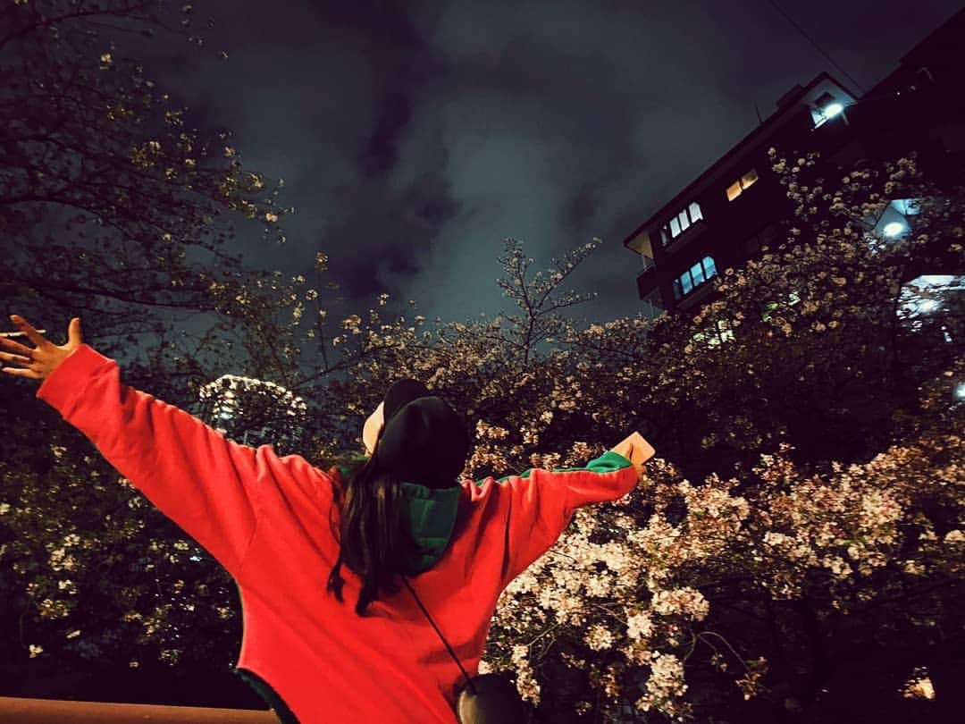 のインスタグラム：「4月4日に #阪神競馬場 で #第65回大阪杯 が行われました🏇🔥✨ 芝内回り2000m、4歳以上のGIレース。 強まる雨の中のコンディションで 大変だったと思うけれど、 優勝した #レイパパレ と 騎乗なさった #川田将雅騎手 、 そして関係者の方々、 応援の気持ちを遠くから近くから送った方々、 本当に本当におめでとうございます💐✨✨ . レイパパレは2017年1月28日生まれの4歳、 と、いうことは… 私が初めて阪神競馬場で G1となった大阪杯の観戦をさせていただき、 #キタサンブラック の素晴らしい姿を応援した年に 生まれた馬なのです😳💡 なんだかもう、胸が熱くなります😌✨✨ . デビューから無傷の6連勝で GI初制覇とのこと🏆️✨ これからが楽しみです☺️✨✨ . そして 今週末はいよいよ 桜花賞が行われます🌸✨✨ こちらは3歳牝馬🏇🌸 今からいろいろ予想はしているのですが 難しい…！！！ もうちょっと考えよう🤔 . 写真は、少し前のもの☺️ 東京の夜の桜を名残惜しみながら撮りました🌸 大好きな「桜」がタイトルにつく桜花賞、 楽しみに待とうと思います🔥🔥🔥」