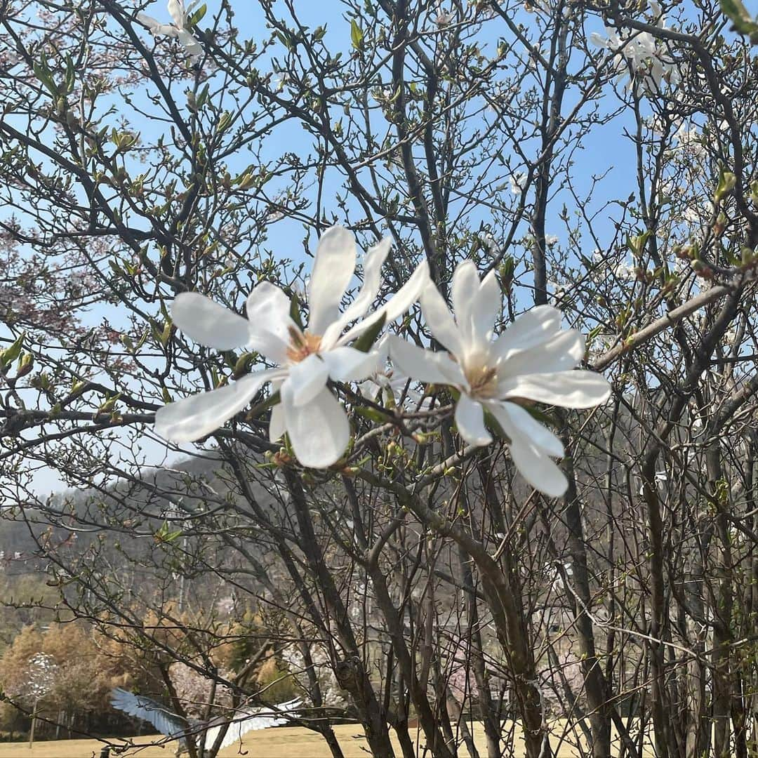 パク・ギュヨンさんのインスタグラム写真 - (パク・ギュヨンInstagram)4月6日 18時16分 - lavieenbluu