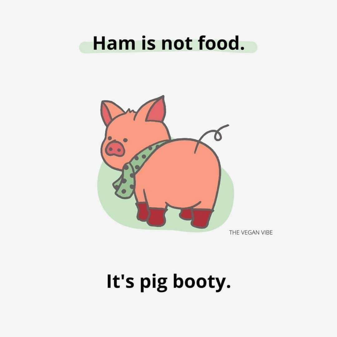 Jamonのインスタグラム：「Good question @the.veganvibe ...  Are you eating pig booty?  #friendsnotfood #jamonthepig」