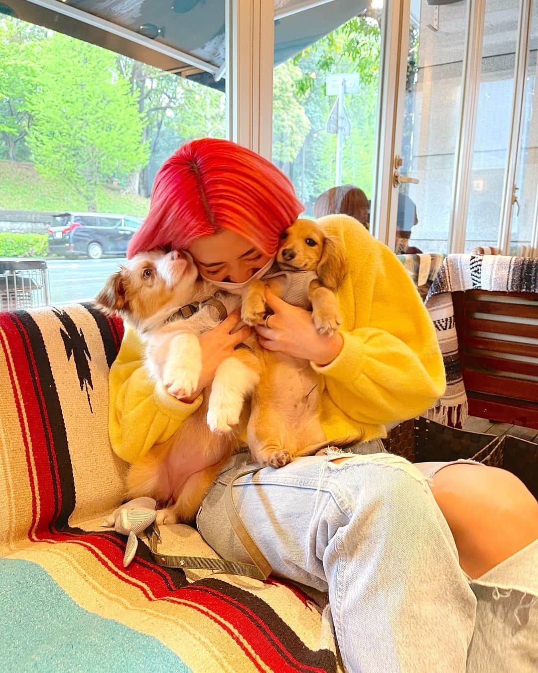 植野有砂のインスタグラム：「My kind of heaven 🔥🥺😍💞🐶 #puppycafe ？ってくらい幸せだったランチ😂犬アレルギーと思えないくらい突っ込んでいくよ❤️いつもの @soy.and.olive と、初めましてのキャッシュくん @haruna_h_mori 🐶🐾💞あぁ、幸せぇ〜〜〜キャッシュ見てるとティティの小さい時みたいで胸がキュンとなる💕」
