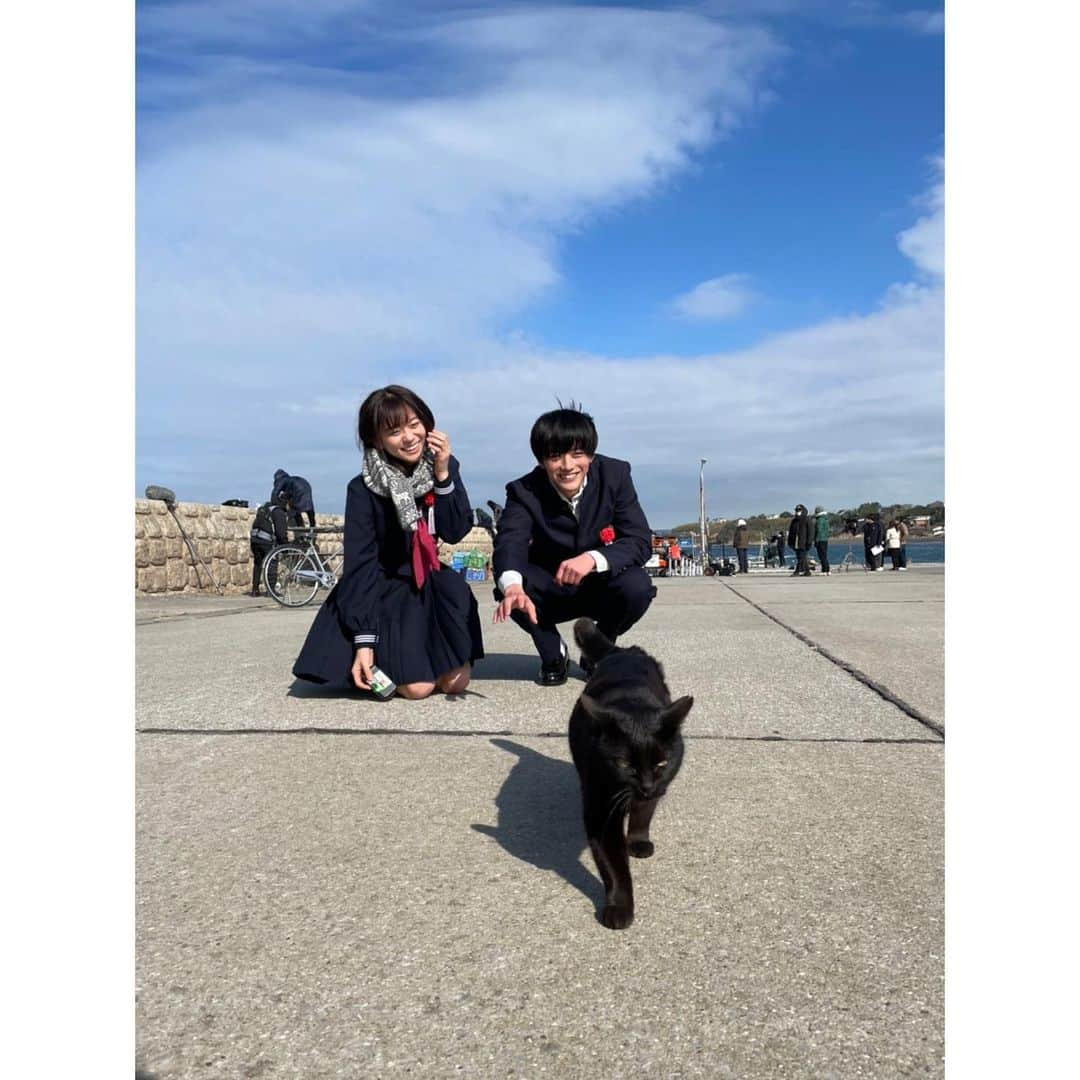 Kaitoさんのインスタグラム写真 - (KaitoInstagram)「猫。 港にいっぱいいてかわいかった🐈‍⬛  10代もあと一週間で終わりです。 #祝ってほしいアピール」4月6日 19時44分 - kaito_0413