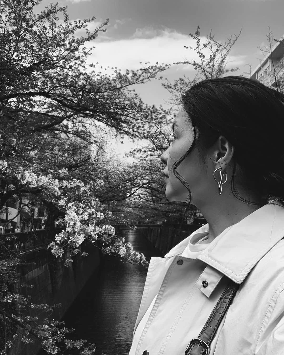 日下裕江のインスタグラム：「分かってはいたけれど  花見シーズンの目黒川沿いのカフェは やっぱり満席だよね…  なので、 隠れ家的な naico cafeへ☕️  ナイコサンドウィッチが めちゃ美味しかった♡  クミンの香りとマスタードが合わさって、サクサク香ばしかった❀.*･ﾟ  #naicocafe #目黒川 #目黒カフェ #葉桜 #花見 #桜」