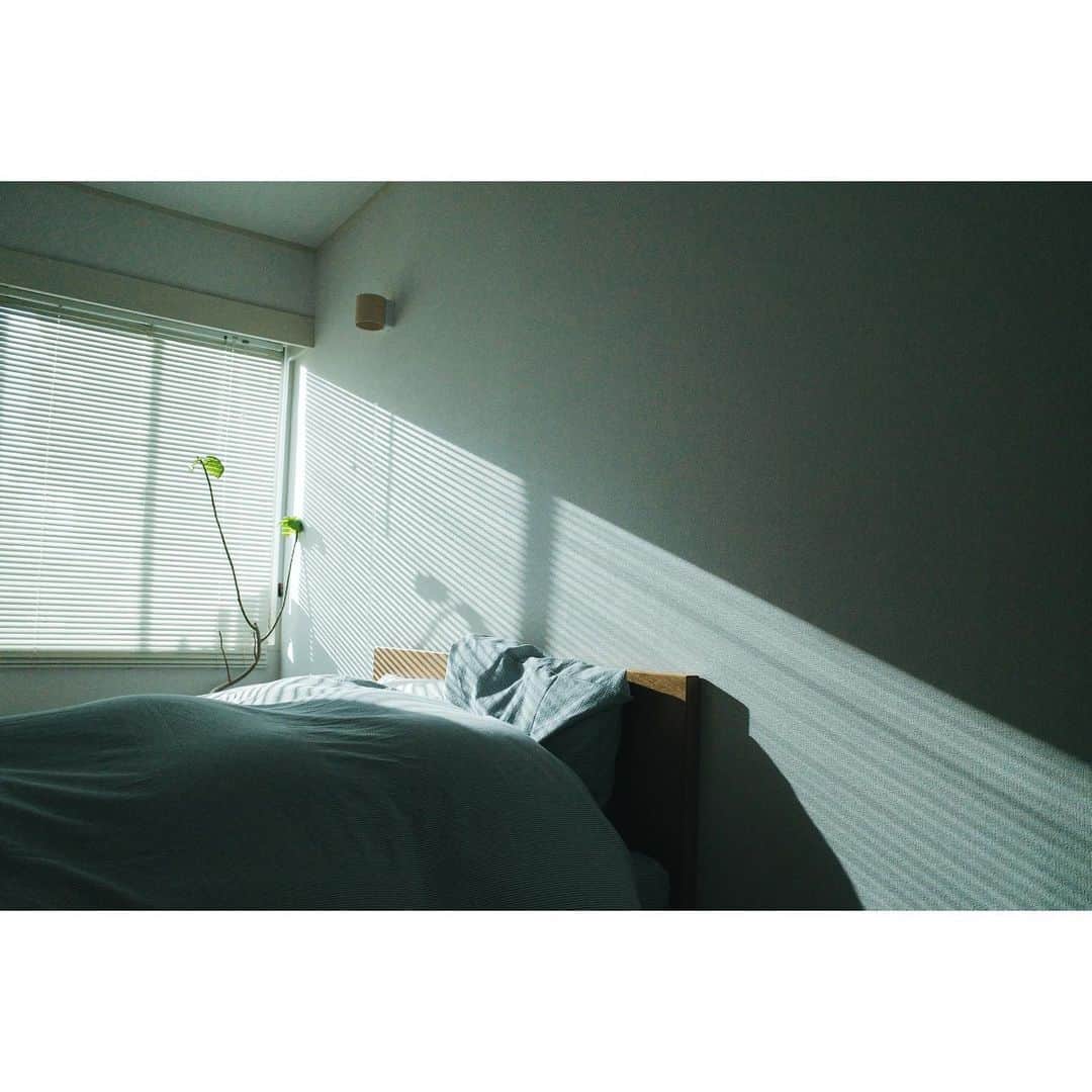 高山都さんのインスタグラム写真 - (高山都Instagram)「朝、ほんとうに起きやすくなったのは、ひかりで目覚めるから。 ウンベラータも順調に芽生えてきた。 ベッド整えて、お湯飲んで、走りに出る。 今日もがんばろう。 ベッドカバーとシーツを変えてみた。 @ralphlaurenhome のもの。 シアサッカー地が気持ちいい。」4月7日 7時18分 - miyare38