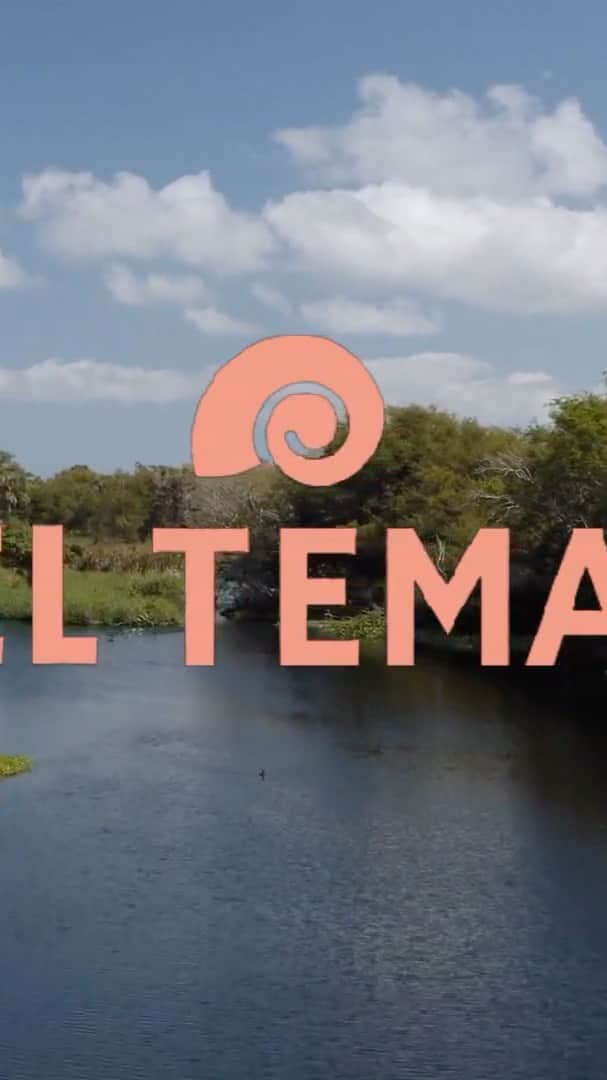 のインスタグラム：「Compas, tenemos que hablar de la crisis climática. Este es el tema en el cual construiremos la concordia necesaria para sobrevivir y generar la justicia social/justicia climática que tanto anhelamos.   Compas, we have to talk about the climate crisis as if we belonged to the same world and not dividing ourselves in abstract concepts such as countries. By talking and engaging with this issue, we can find the common ground we need to gain knowledge and construct the policies that will be vital to our survival. We need to hear and listen to the voices that have been talking about this for centuries. This is the main theme of our time.  Thats why it is “EL TEMA”.  #ElTemaMx #ClimateCrisis #CrisisClimatica #ClimateJustice #JusticiaClimatica @lacorrientedelgolfo @pablomontanob @yasnayae @mazai_ @diegoluna_ @paulitamor」