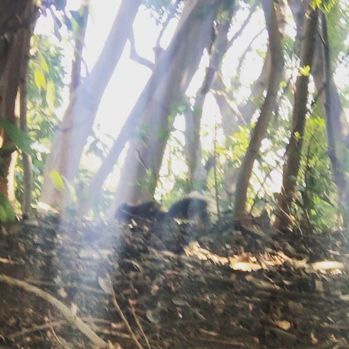 前野えまのインスタグラム