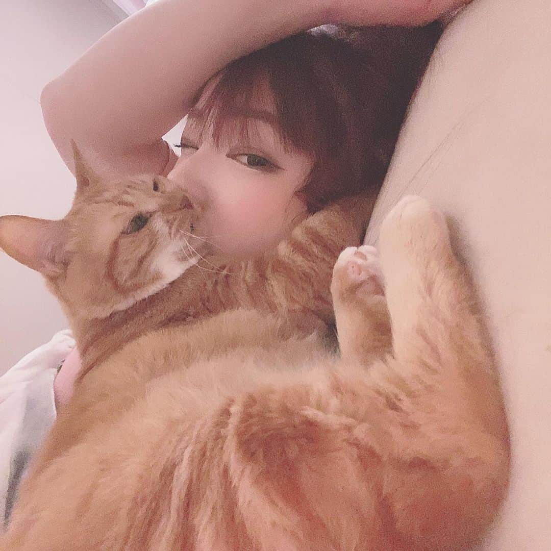 ツナマヨのインスタグラム：「・ そんなにくっついたら息出来ないよ〜 しゅきしゅき💕  ハッシュタグ今までやり方分かんなかったけどやってみよ〜  #photooftheday #picoftheday #instagood #instadaily #cat #catstagram #ネッコ #猫のいる暮らし #tbt #kawaii  やっぱダセェな」