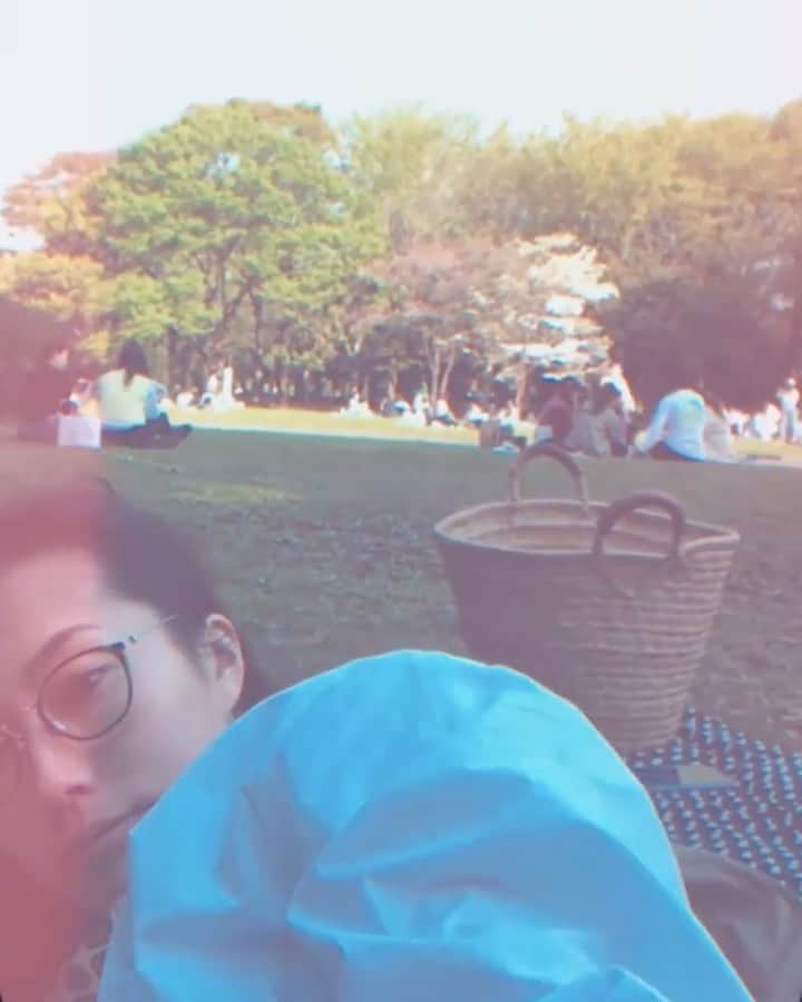 のインスタグラム：「自然が身体によいのは、科学的に証明されているらしい。 #ピクニケ　#picnique」