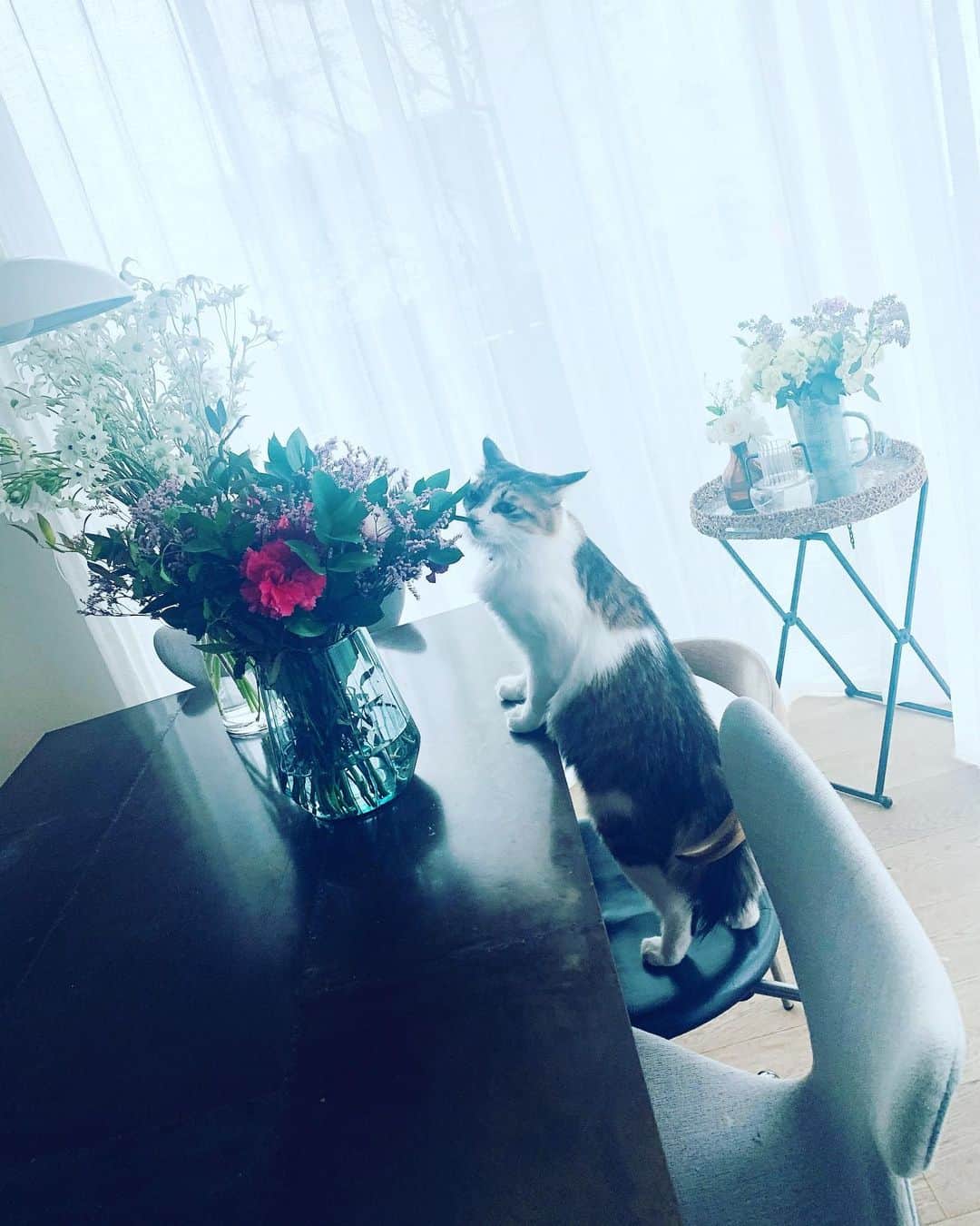 大草直子さんのインスタグラム写真 - (大草直子Instagram)「おはよう！　新学期が始まった末っ子、入学式を控えた長男、車の免許を取れるはず（笑）の長女。頂いたたくさんの花を生け替えて、感謝に満ちた朝です。ありがとうありがとう。今日もワクワクします、元気にいこう。 @rogervivier に頂いた #おっきな花束 #2週間経ったのに #こんなにエナジェティック @jomalonelondon にも #可憐なブーケを頂きました #キャンセルされた花を #集めてブーケに #ありがとうございます #パニータ部長に褒められました #きれいな花だねぇ #部長が食べてしまう前に #花たちは玄関やら #パウダールームに避難 #今日12時半より @martinique_tokyo で #インスタライブを #昨年大大大ヒットした @redcardtokyo との #コラボ「センシュアル」の #再販が決まりましたので #昼休みにぜひ」4月7日 9時09分 - naokookusa