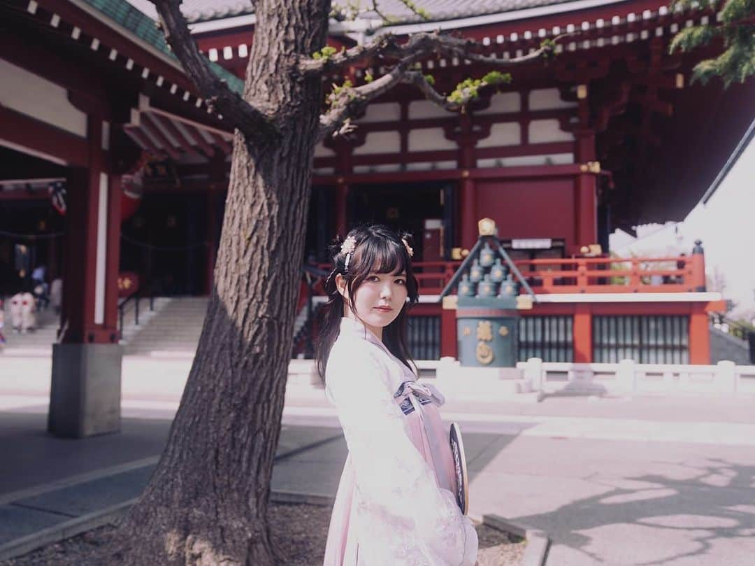 九条ねぎ あぴるさんのインスタグラム写真 - (九条ねぎ あぴるInstagram)「We took this photo in Asakusa.  @kankoubou09 さんで漢服のレンタルとヘアセットをしてもらい 妹に撮影してもらったよ💖  浅草です。 桜が散る前に撮影できて良かった🌸  #漢服　#撮影　#photography #japanesegirl #浅草　#ポートレート　#portraitphotography」4月7日 11時42分 - negi_kujyo