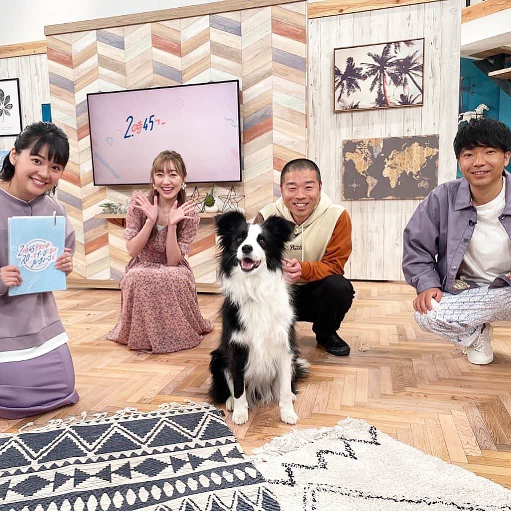 須田亜香里さんのインスタグラム写真 - (須田亜香里Instagram)「昨日はカンテレさんで2番組も出演させていただいて、有難い限りでした☺️ しかも衣装は先日のブルー祭りに引き続き、昨日はピンク祭りでした(笑) 気分なのかな？なんだろうね。  #スロイジ #キメツケ #須田亜香里衣装  【2時45分からはスローでイージーなルーティーンで】では看板犬テスに会えて最高に癒されました💓  【やすとも・友近のキメツケ】では、私のおすすめのお取り寄せのお菓子が皆さんに好評だったのが嬉しかった！ 友近さんには前回のオススメフィナンシェのことも覚えていただいていて、須田さんのオススメに間違いない！と太鼓判押していただき、自分の舌に自信が持てました😋 （最後の写真はキメツケスタッフさんからいただきました😳💝）  気になる方はTVerやカンテレドーガで配信されてるのでぜひ💓」4月7日 12時01分 - akarisuda