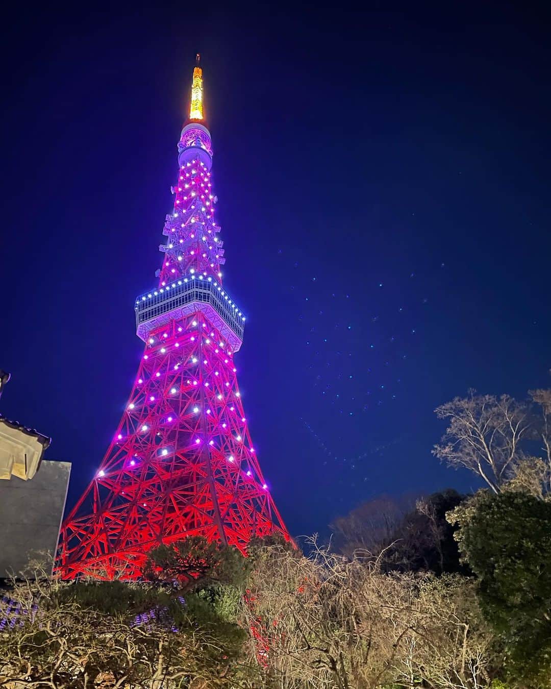 山口もえのインスタグラム：「・  いつの日かの東京タワー🗼 私は東京タワーが大好きです💕 観てるだけでワクワクする✨✨ 東京タワーって外階段で登れるの知ってた❓ 階段の数約600段！！ 外の風を感じながら登っていくのは勇気と気合が必要です！ といっても15分くらいで登れます😊 おとなよりこどもの方がすいすーい！！って… おとなはひぃーひぃー！！って登ってく。 あれ？！ ひぃーひぃー言ってるの私だけかも💦笑  #東京タワー#最高#❤️ #またいつか登りたいなぁ♡」