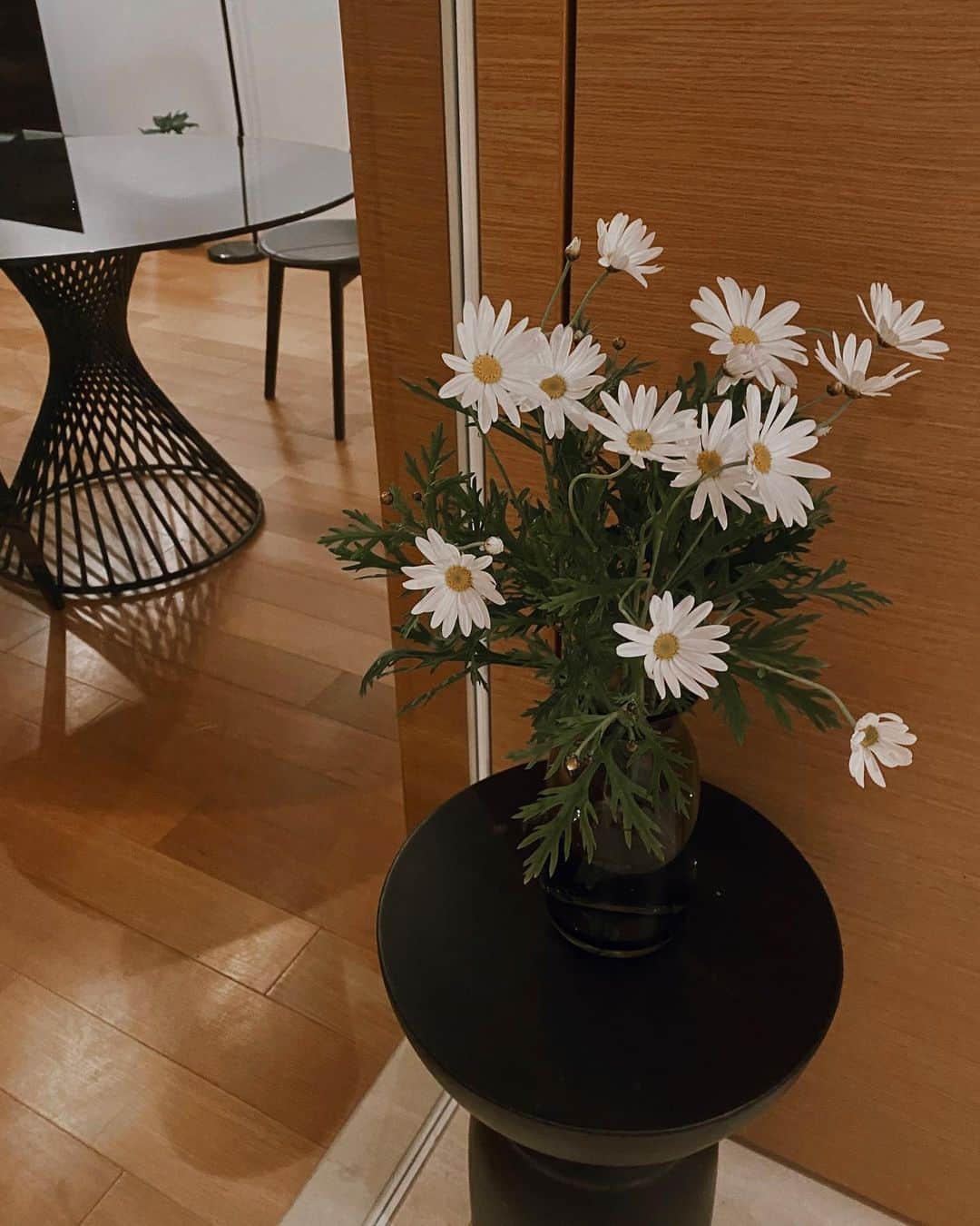 宮本沙恵のインスタグラム：「マーガレット🌼 最近お家の中が観葉植物とお花だらけ🪴 #マーガレット#お花のある暮らし#観葉植物#セローム#オーガスタ」
