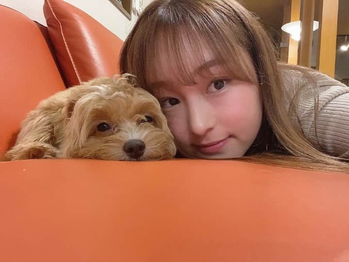 橋添穂のインスタグラム：「・ ・ 久しぶりに前髪作った💓✂️  眠たそうな愛犬ののんちゃんです🐶 #犬#犬のいる暮らし  #ゴルフ#ゴルフ女子」