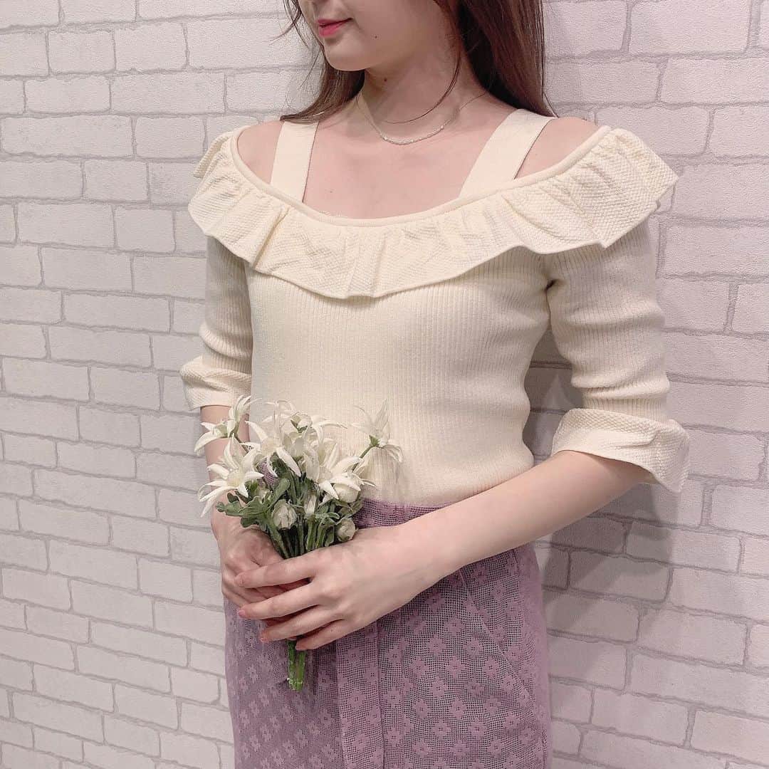 デイシーのインスタグラム