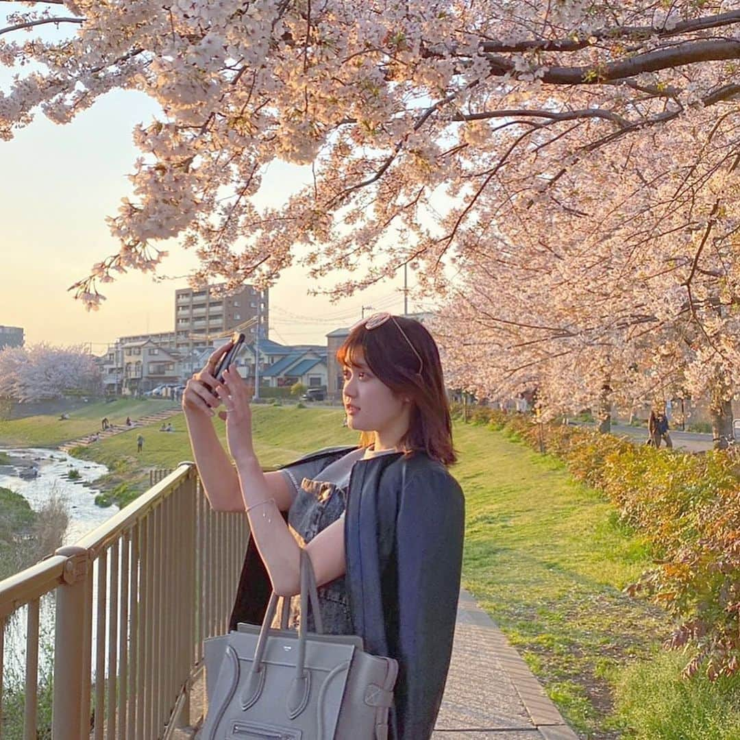 牧野莉奈のインスタグラム：「桜が綺麗な季節です🌸 みなさん進学、進級、新生活！おめでとうございます❤︎ 私は無事進級できたので3年生になれました〜😂 そこで大学生の皆さんにおすすめしたいのが、「ペンマーク」ってアプリ！！！ 毎年めんどくさい履修登録を助けてくれるんです✌🏻💖 デザインがかわいくて、授業ごとに色変えられたりしてめっちゃ便利だし、公式シラバスからすぐに履修登録できる優れものです🥺❤︎ みんなペンマークアプリ使って楽に履修登録しちゃいましょう〜💫  #penmark #pr」