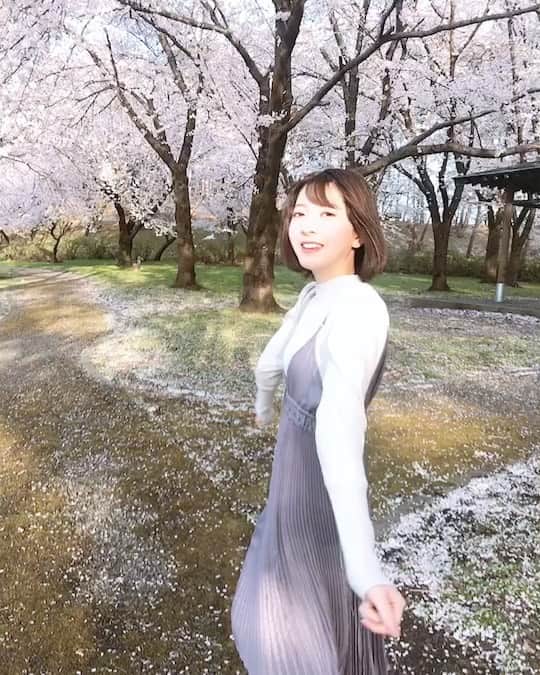 のインスタグラム：「🎼サクラ🌸サクラ🌸今咲き誇る🎵  桜とってもキレイでした🌸🌸」