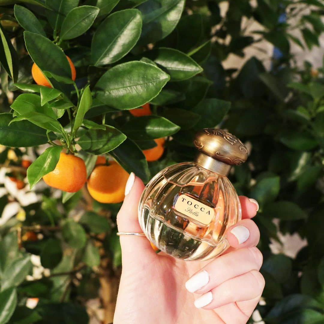 トッカのインスタグラム：「Soaking up spring with our citrus scented Stella collection 🧡  Tap to shop yours @sephora ⁠⁠ ⁠⁠ ⁠⁠ ⁠⁠ ⁠⁠ ⁠⁠ #tocca #scents #eaudeparfum #fragranceoftheday #scentoftheday #stayfresh #perfume #fragrance #luxury #musthave #treatyoself #treatyourself #luxurylife #beauty #parfum #perfumeoftheday #nicheperfume #instalove #giftguide #giftsforher」