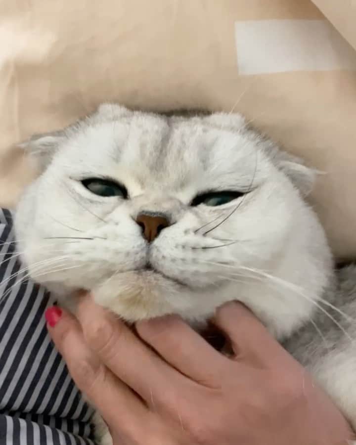 Hiroのインスタグラム