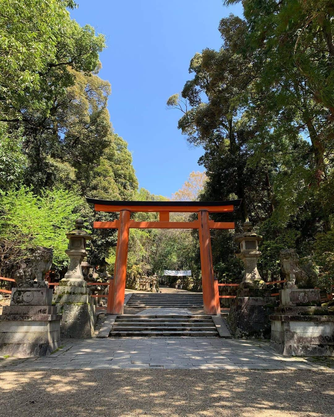 Akiさんのインスタグラム写真 - (AkiInstagram)「奈良の世界遺産「春日大社」へ コロナ収束祈願に行ってきました🍀 . 春日大社は奈良公園内にある古都奈良の 文化財で、都の守護と国民の繁栄を 祈願するために建てられました😌 . 玄関口である一ノ鳥居から手水所のある二之鳥居まで 何と1km❣️ . 原始林の中をひたすら歩き続けると、 鮮やかな朱塗りの社殿が見えてきます✨ . 境内にはたくさんの釣り灯籠があって とても美しい神社でしたよ♡ . 恋愛成就や夫婦円満など縁結びに効く パワースポットでもあるので、関西の方は また足を運んでみて下さいね🍀 . #奈良#春日大社#ナース#看護師#インフルエンサー#感染予防 #感染対策 #感染症対策 #コロナ #コロナ対策 #コロナ#コロナに負けるな#コロナウイルスが早く終息しますように  #covid_19 #covid19 #stayhome#stayathomestaysafe#stayhomechallenge#stayhome#savelives#nurse」4月8日 11時30分 - aki_0624