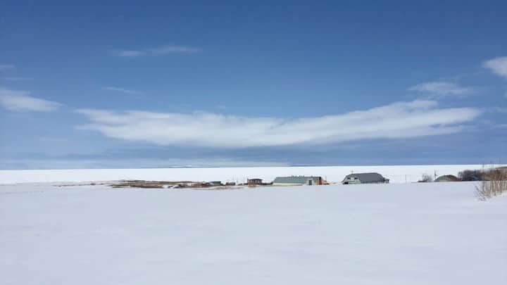 ハミルのインスタグラム：「. . 【 まだ遠い、to the north...】 . コロナ前は毎月、いや、ひどい時には、 毎週、東京から行っていた北海道. . 北への偏愛の末、自分なりの落とし所で、 立上げ、伝え続けている、 ”ORCA、The Northern Peoples & Things” . 北で出会った作り手さんや暮らしの様子を 毎週、日曜の夕方にポストさせて頂いてる. . 普段はクライアントさんのご依頼で動く、 私のお仕事ですが、 これは全くの私的ライフワーク. . 今週は、京都出身で、 現在は東京と根室を往き来されている 現代美術家・高橋涼子さん　 @rt_s  .  彼女の視線の先はいつも儚く美しい. . その世界観が好きで、 定期的にORCAに寄稿していただいている。  今回は、【　白い海　】と題して、 根室に着岸する流氷を描いてくださった. . . 私は札幌の街の中で育ったのもあり、 流氷とは無縁で、ここ数年の北のプロジェクト、 そして、このオルカも主宰させて頂いてるのに、 恥ずかしながら私はまだ流氷を見たことがない。 . 大好きな道東にあれだけ通っていたのに、 流氷の季節(2月中ー３月上旬くらい？)、 私のお仕事がバタつくタイミング多く、 この2,3週間を何年も逃してきている。 . そのくらい流氷は、 私にとって遠い憧れの存在なのです。 . 今週のORCA、何度眺めただろうか... . 毎月行ってた北に想いを馳せる... . The reason why、 people want to go to the north... . あー、世界で一番好きな道東に行きたい、 行きたい、行きたい... . 熊の存在を気にしながら行動する気持ちや、 船に絡みつくような人懐っこいイルカたち、 海沿いを大群で走る鹿たちに逢いたい... . でも我慢😭🦌&🐻✨ .  髙橋 涼子 @rt_s  1980年大阪生まれ。2004年京都精華大学芸術学部卒業後、主に毛髪を使用した作品を制作し、インスタレーションやパフォーマンスなど多様な表現方法で作品を発表。2015年北海道根室市へ移住、根室半島で生きる植物や動物と共に、自分自身も自然の中で循環していくことをテーマとし、収集した自然物と自身の毛髪を使用した作品を制作。現在は、根室と東京の二拠点で活動している。 ・ Music by Gen Tanabe @gen_wwc Music Produced by Hiroshi Yoshimoto @monsieur_espresso ・ Produced by Harumi Fukuda  制作: ORCA  #orca #orcathenorthernpeooles .」