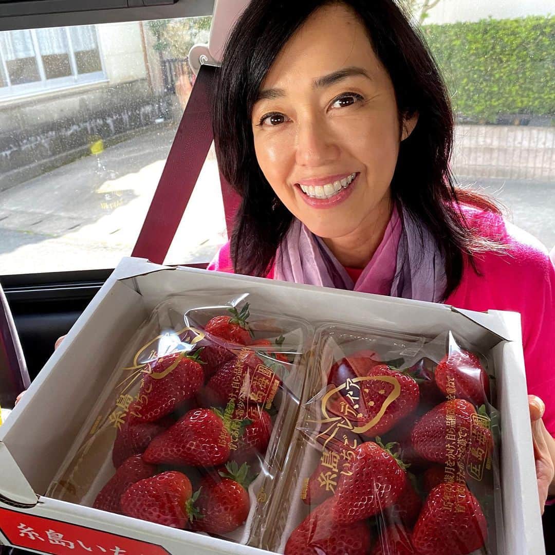 早見優さんのインスタグラム写真 - (早見優Instagram)「These strawberries are HUGE!! このいちご大きくて美味しい🍓❤️  #strawberry #japanesefruit  #いちご #糸島 #福岡」4月8日 8時13分 - yuyuhayami