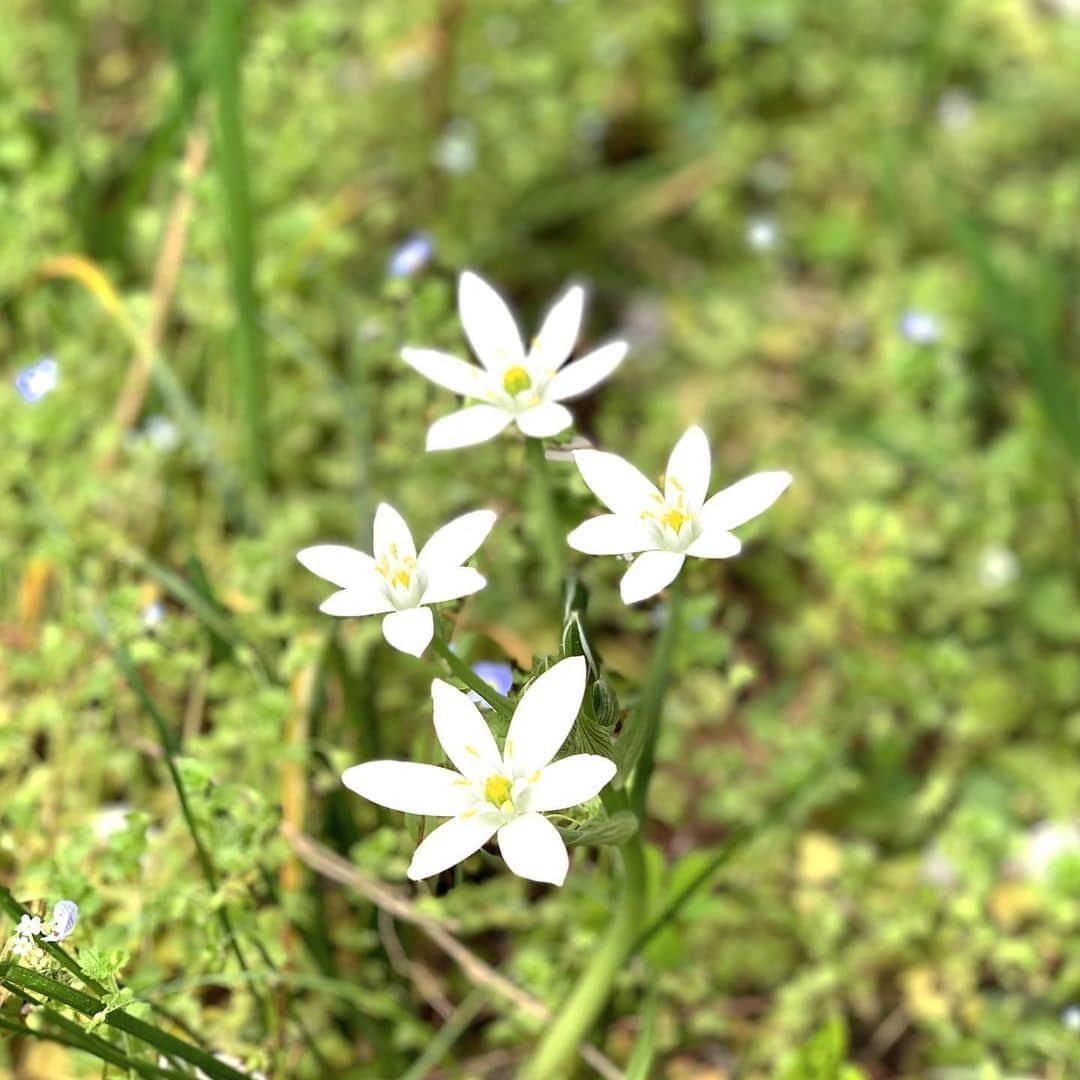 菊池桃子のインスタグラム