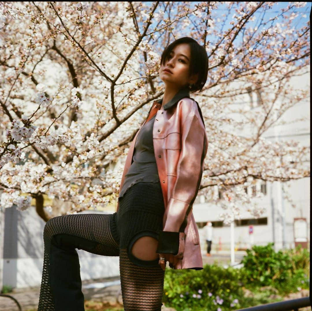 入夏さんのインスタグラム写真 - (入夏Instagram)「Cherry blossom moment🌸  フィルムで私服の写真撮影。 やっぱり携帯とは違う良さがあるなぁ。  この日はH&M STUDIOのメタリックジャケットに、 @cycle_by_myob のパンツを初おろし。 デザインの細かいこだわりに一目惚れしたの！  Thank you for the beautiful photos @badboi @mr_fsahara   #irukastyle #cherryblossom #cyclebymyob #hmstudio」4月8日 10時55分 - iruka__offi