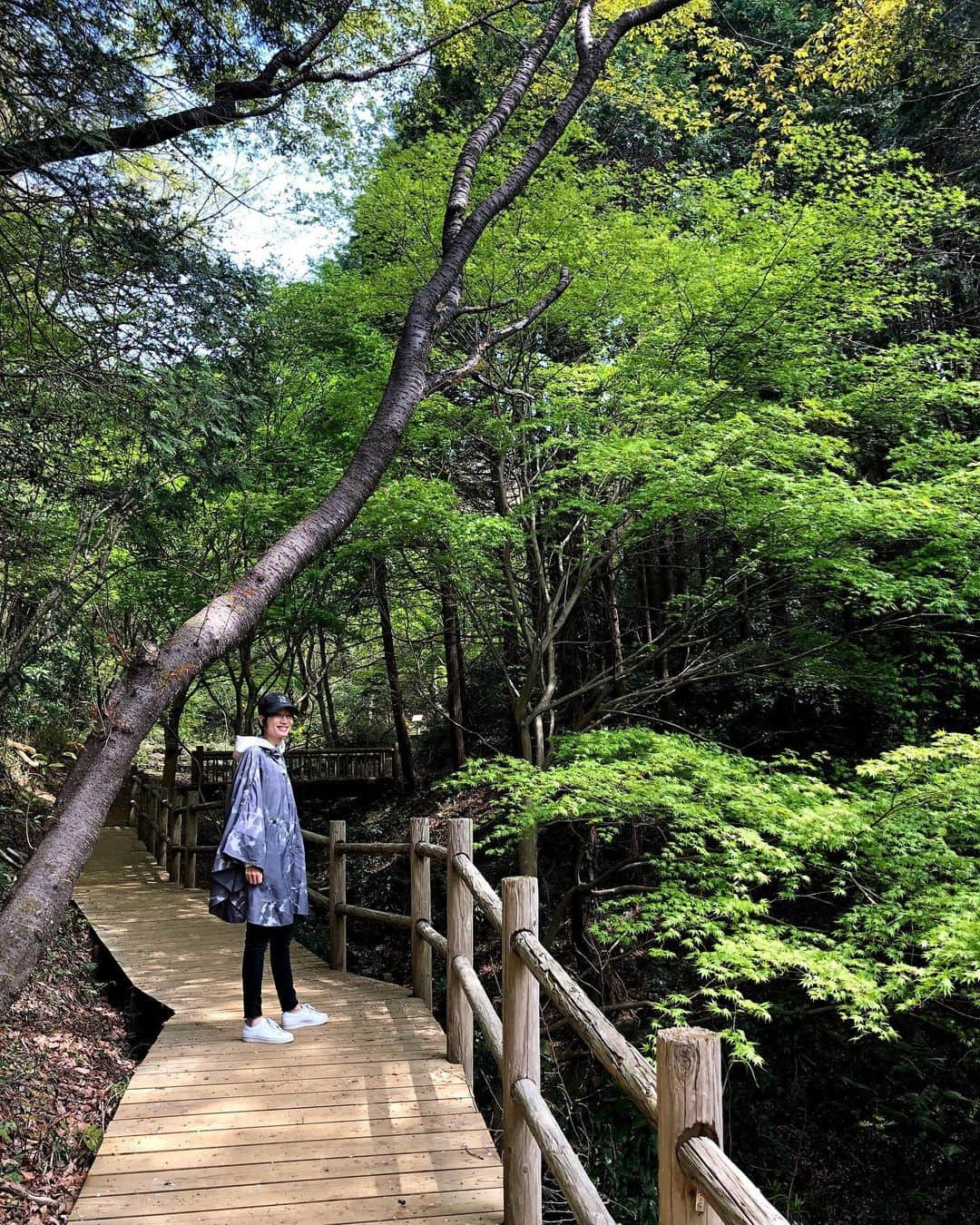 佐藤弥生さんのインスタグラム写真 - (佐藤弥生Instagram)「今日も沢山のコメントありがとうございます✨ 🌞お天気が良いのでドライブがてら森林浴してきました ⛰久しぶりの山ガールです 桜は終わってしまいましたが新緑がとっても綺麗でした 🌲野鳥の森🌲 30分位で行ける所を、写真を撮りながら歩いたので1時間位かかってしまいました 鳥が鳴く練習をしているみたい 可愛い鳥の声が聞こえてきます 春は植物が生き生きとしていて、大地のパワーを沢山もらってきました 展望台も気持ち良いな✨ * 詳しくはアメーバブログ　弥生日和 をupしました ☆ プロフィールの所のURLから見れます #乳がん#乳癌#がんサバイバー#癌サバイバー#再建希望#ステージ0#非浸潤癌#癌#がん#癌治療#9人に1人は乳がん#山#山ガール#山ガール再び」4月8日 21時16分 - yayoyayo_s