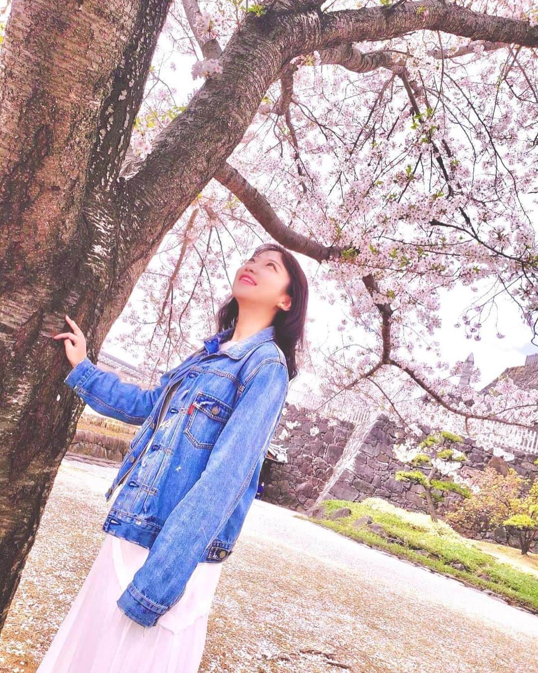 住吉史衣さんのインスタグラム写真 - (住吉史衣Instagram)「. . 都内はいつの間にか桜の季節が終わってしまいましたね😌🌸 今年もありがとう♡ お気に入りの桜並木も久しぶりに通ったら 葉桜通り越して新緑でした🌿 . . 💡豆知識 3枚目は桜の中央の色が違うのを見つけたの。 調べたら緑が咲いたばかりで、ピンクがもう少しで散るよっていうサインなんだって！ ちょっと頭良くなれた😚 . . #桜 #🌸 #一本桜  #和 #日本 #風物詩 #季節の花を楽しむ #季節の花 #季節の変わり目 #花のある暮らし #花のある生活 #花のある風景 #花 #自然 #広い空 #私服 #私服コーデ #ジャンスカ #デニム #デニムコーデ #denim #デニムオンデニム #小旅行 #女子旅 #女子旅行 #山梨観光 #舞鶴公園 #flower #sakura #休日の過ごし方 . .」4月8日 21時49分 - fumie_0426