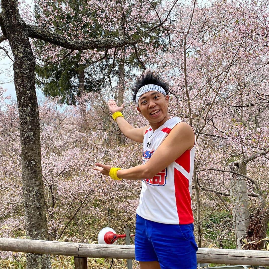 サンシャイン池崎さんのインスタグラム写真 - (サンシャイン池崎Instagram)「桜！！！！  #WoW!HO!TV! #TokyoMX #毎週火曜日24時から」4月8日 12時55分 - ikezaki_yeah