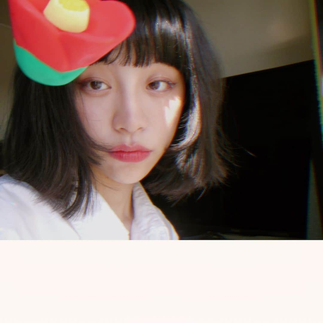 る鹿さんのインスタグラム写真 - (る鹿Instagram)「🌺」4月8日 13時09分 - luluxinggg