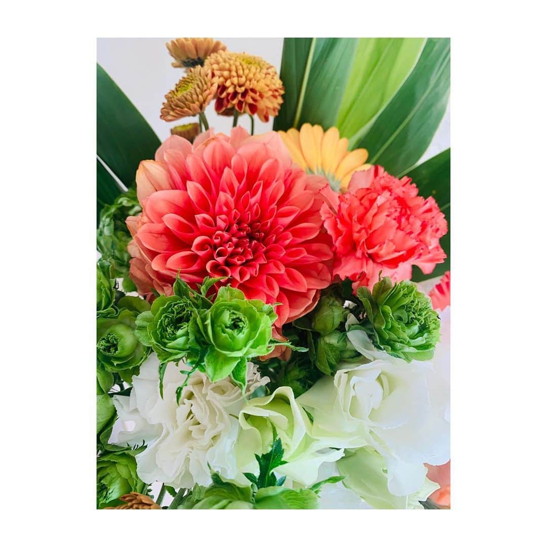 久保井朝美さんのインスタグラム写真 - (久保井朝美Instagram)「💐 お部屋にお花があるって良い☺️ 嬉しいなぁ❤️❤️ ． #お花がある生活 #久保井朝美 #お花が好きな人と繋がりたい」4月8日 13時57分 - asami_k920