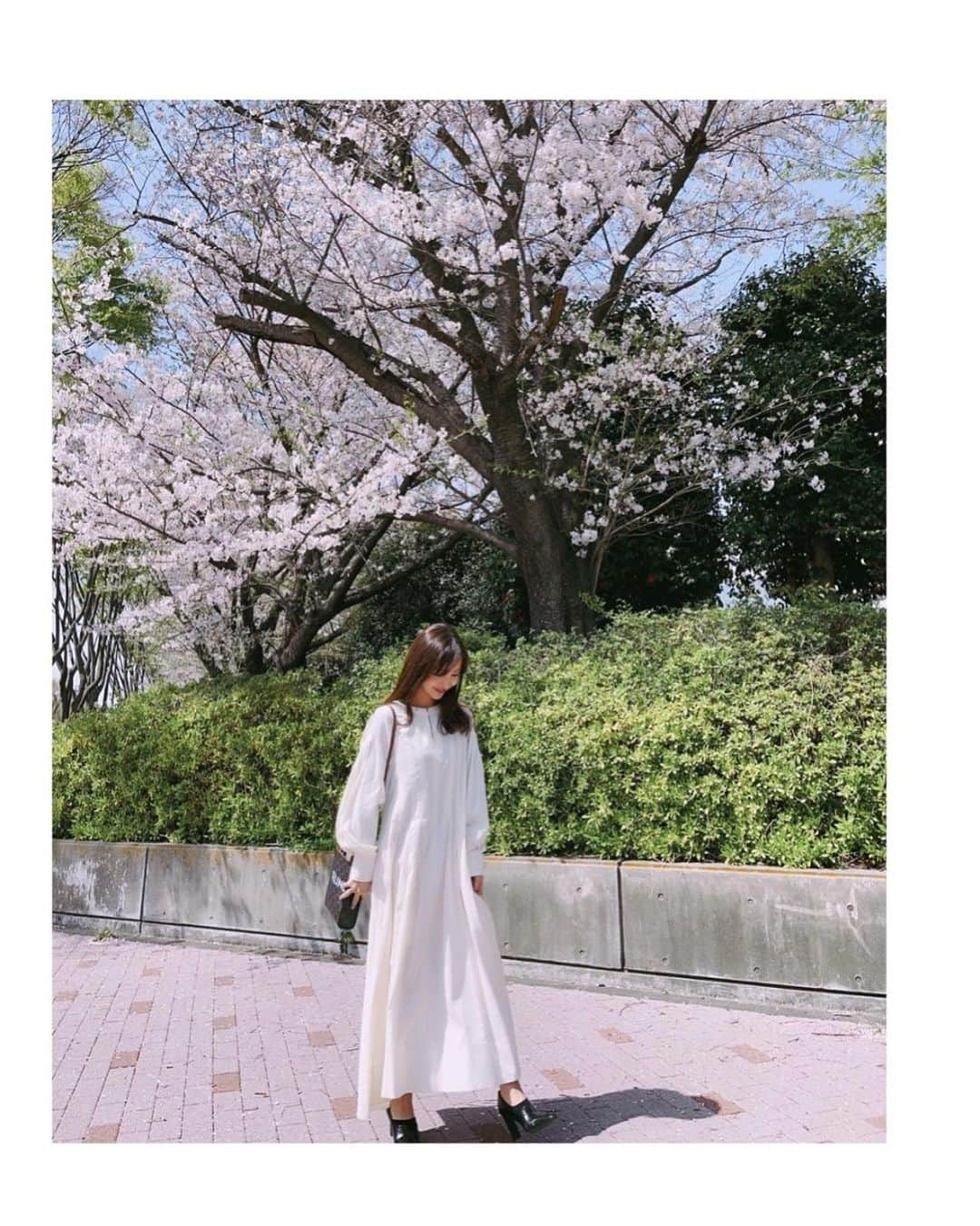 板野友美さんのインスタグラム写真 - (板野友美Instagram)「🌸🌸🌸  もう、今年は最後かなぁ。 お花見はできないけど、通りすがりに 素敵な🌸に出会いました♪  #桜並木 #春 #桜見納め」4月8日 15時45分 - tomo.i_0703