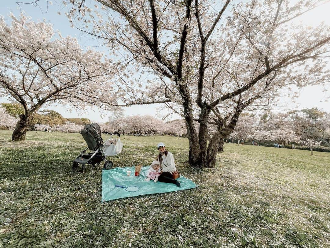 岡本雅世のインスタグラム：「・・・  ・ ・ ・  撮影: #ピア王子 @ren_pole   ほんといつも素敵な写真撮ってくれる❤︎  ちょうど1年前は姫がお腹で、 そして私は切迫ぎみで絶対安静を指示され実家に籠ってたので、  ピア王子にも色々我慢させてしまってたんだろな。 (↑パパとゲームで満喫してたカモやけど🎮😑)  今年は桜満喫出来た🌸🤍  ・ ・ #親子時間 #桜2021 #公園ピクニック #ピア姫 #こどもカメラマン #ピクニック #5歳男の子 #こどものいる暮らし #赤ちゃんのいる生活 #ママライフ #mummylife #撮影 #写真 #空 #桜 #風景 #夏 #アウトドア #公園 #素敵 #木 #パパ #実家 #ゲーム #私 #ツリー」