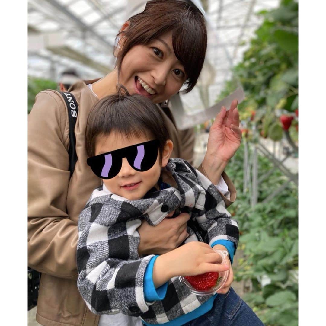 森麻季のインスタグラム：「🍓  先週末いちご狩りにいきました 2歳の息子はデビュー  実はそこまでいちご熱が高くない息子ですが、この日はいっぱい食べました😃  #いちご狩り  #🍓  #2歳 #2歳10ヶ月  #男の子ママ #子育て」