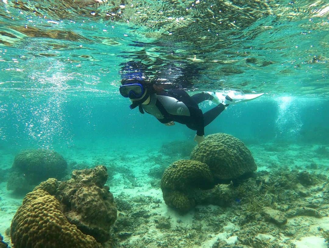 IA（アイエー）さんのインスタグラム写真 - (IA（アイエー）Instagram)「そんなこんなで沖縄投稿はこれで終わり！ 本当に楽しかったんダヨ！ また会いに行くぜお魚さん🐟」4月8日 18時23分 - iaiaiaz5