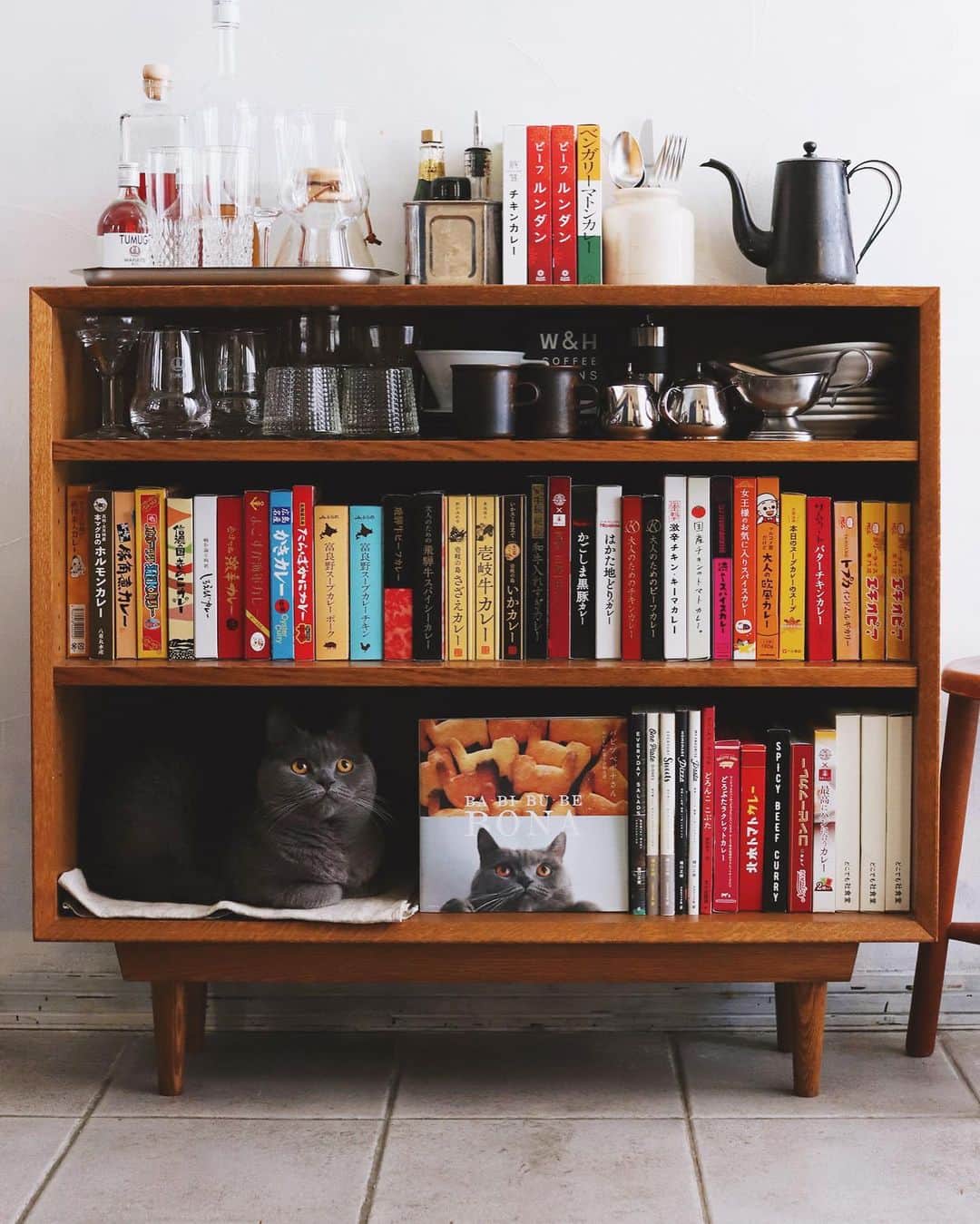 樋口正樹さんのインスタグラム写真 - (樋口正樹Instagram)「book shelf . 今月の我が家の『カレーなる本棚』 新たにいくつか足されましたので、 ボナさんの居場所が縮小してます😅 . 皆さんもおうちでカレーなる本棚、 ぜひ作ってみてはいかがでしょー。 北野エースさんは品揃え豊富です。 👉@kitanoace . . #カレーなる本棚 #カレー﻿ #カレーライス﻿ #レトルトカレー #国民食 #非常食 #カレー好き #北野エース #北野エースで購入﻿ #北野エース買物倶楽部 #北野エースで買ったよ #本棚 #書斎 #curry﻿ #curryrice﻿ #bookshelf #curryshelf」4月8日 18時45分 - higuccini