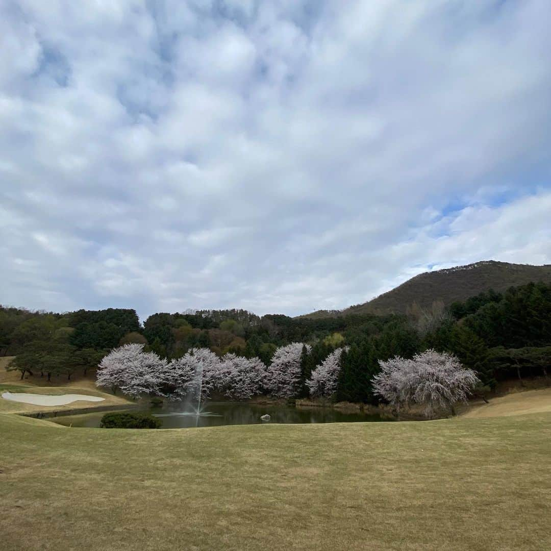 キム・レウォンのインスタグラム：「사계절 벚꽃이 있으면 좋겠어요 아름다운.. #지산cc #지산리조트」