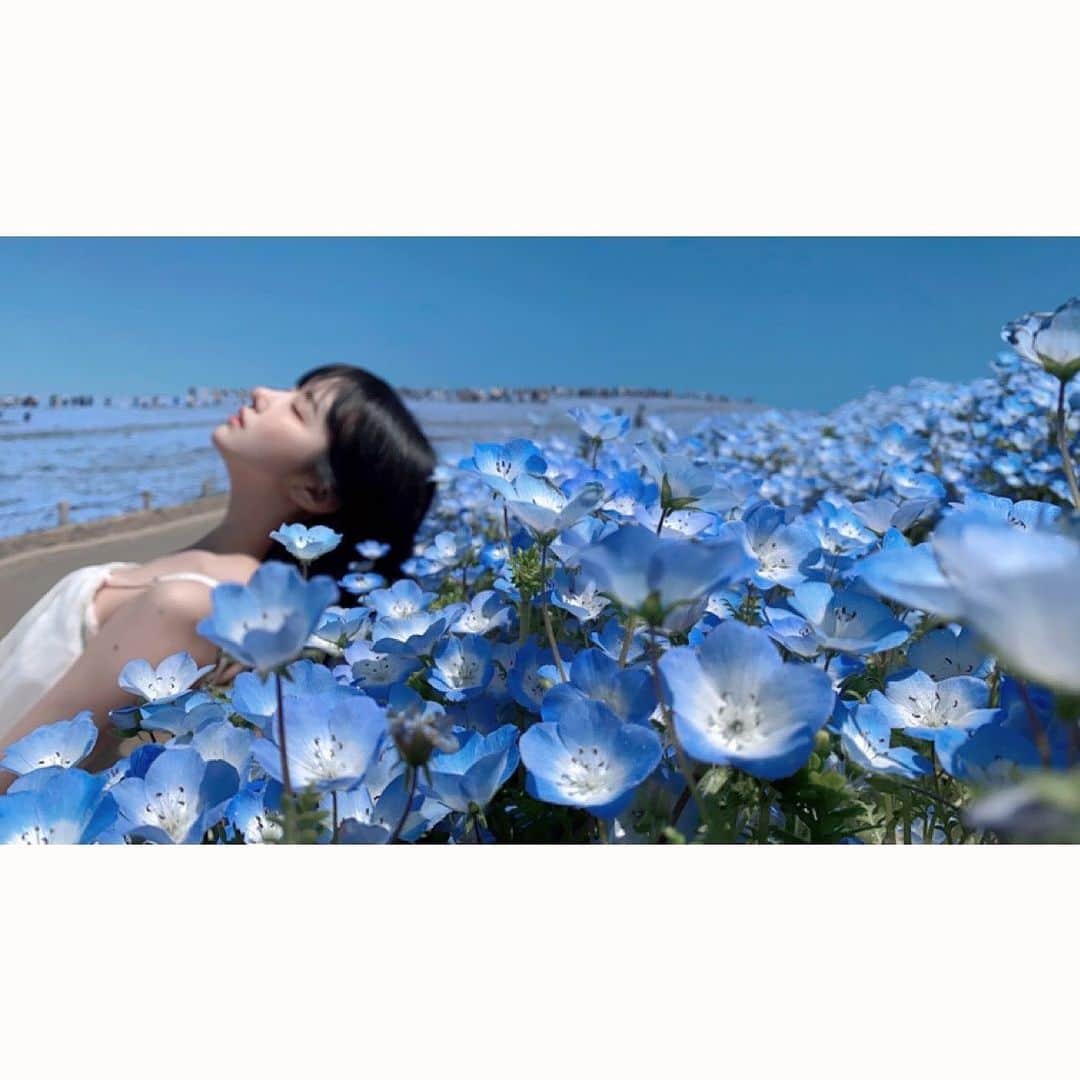 shikaのインスタグラム