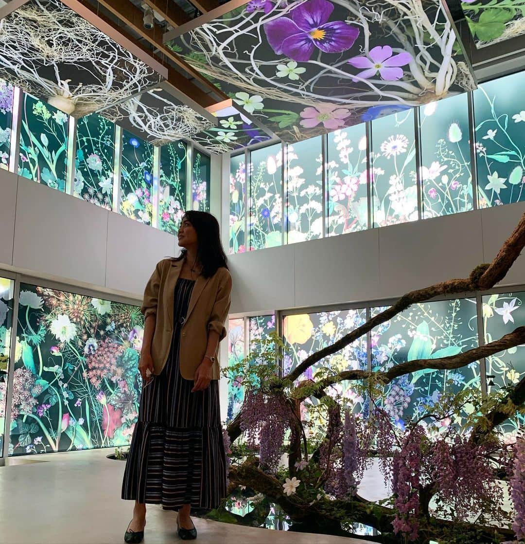 前田典子のグルメインスタ