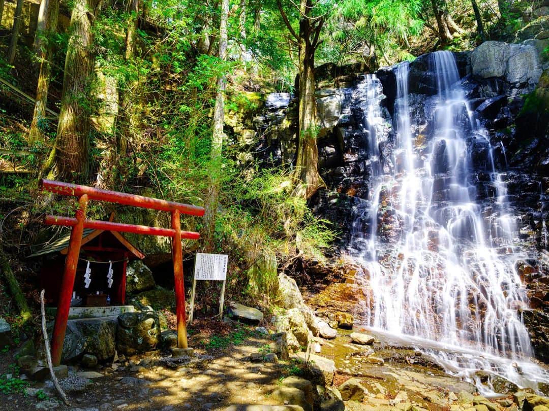 SHOCK EYEさんのインスタグラム写真 - (SHOCK EYEInstagram)「母の白滝神社⛩ 日向と日陰のバランス、強い光の感じが難しくて、滝の前で三脚立てて、色々試行錯誤。 この場所の素晴らしい雰囲気を皆に伝えたい一心に、、。 カメラ楽しいなー、、。  #母の白滝神社 #gfx100s #fujifilm #パワーフォト #powerphoto #beautifuldestinations #earthfocus #earthoffcial #earthpix #thegreatplanet #discoverearth #fantastic_earth #awesome_earthpix #roamtheplanet #ourplanetdaily #lifeofadventure #livingonearth #theglobewanderer #visualambassadors #stayandwander #awesome_photographers #IamATraveler #wonderful_places #designboom #voyaged #artofvisuals #d_signers」4月23日 9時59分 - shockeye_official