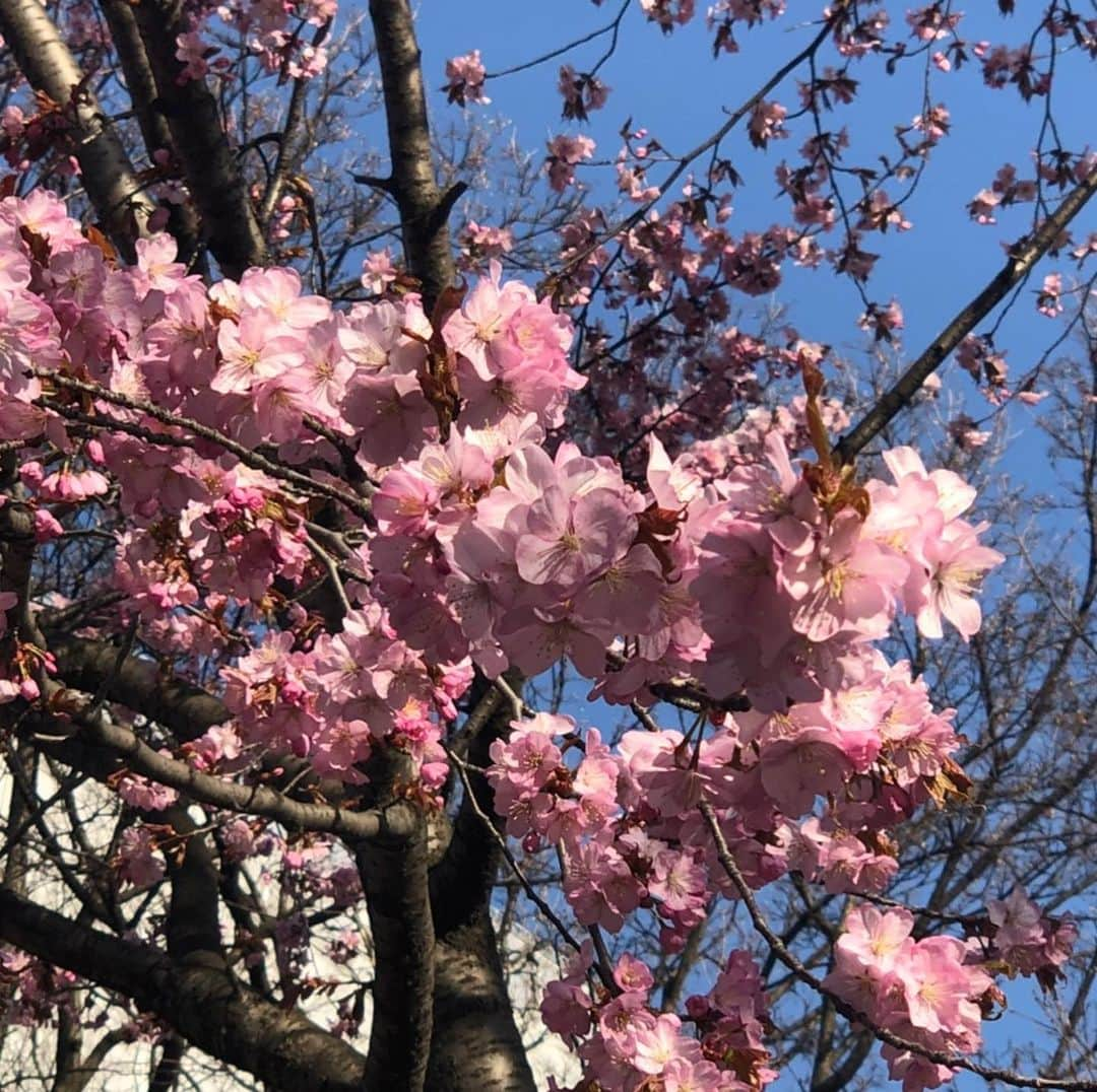 札幌テレビ「どさんこワイド朝」のインスタグラム