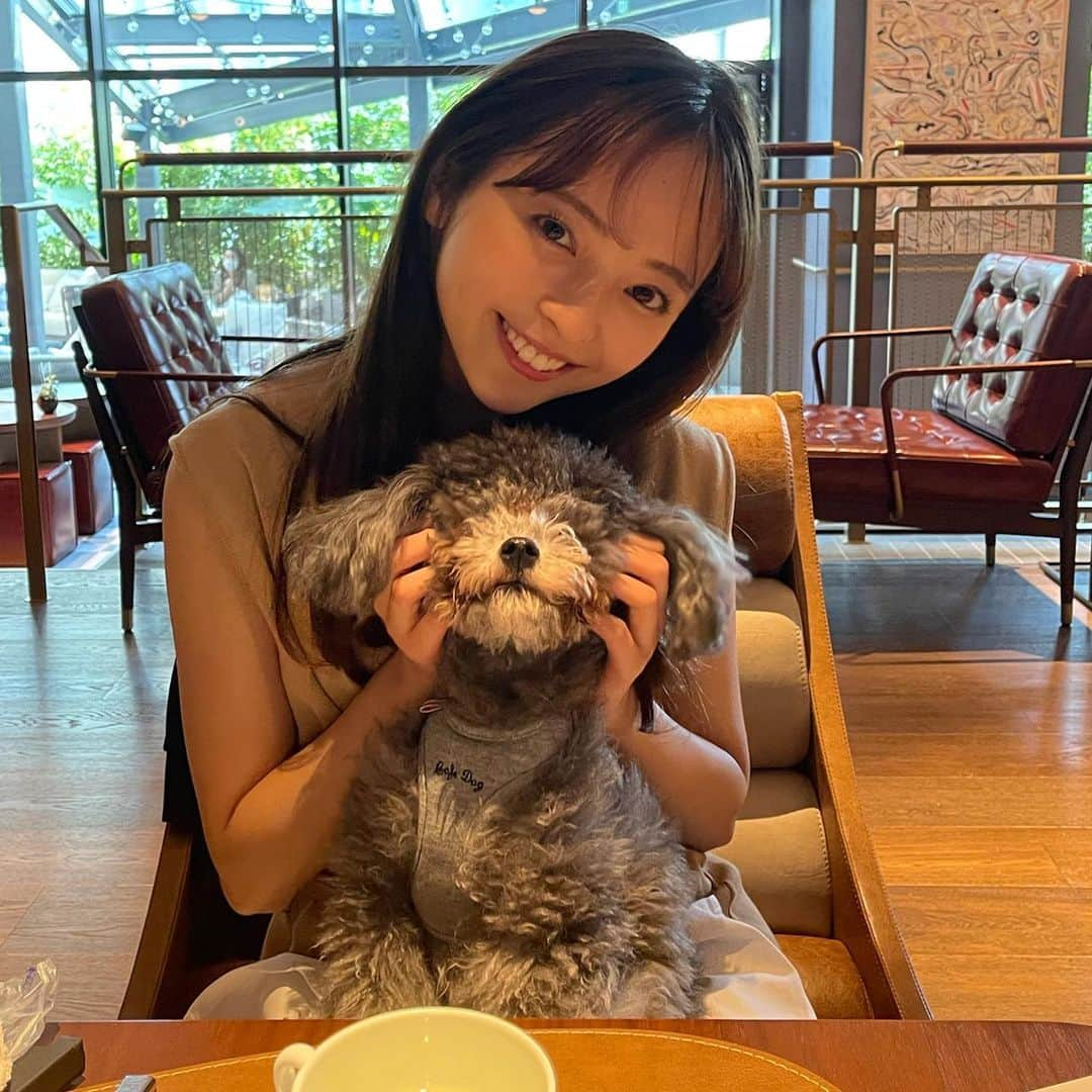 黒口那津さんのインスタグラム写真 - (黒口那津Instagram)「わんずとおでかけしたよ💓 犬会🐶のんびり楽しかった🥰 家族写真はなかなか苦労したよ🌝 #わんこのいる生活」4月23日 11時04分 - rmn69bnn