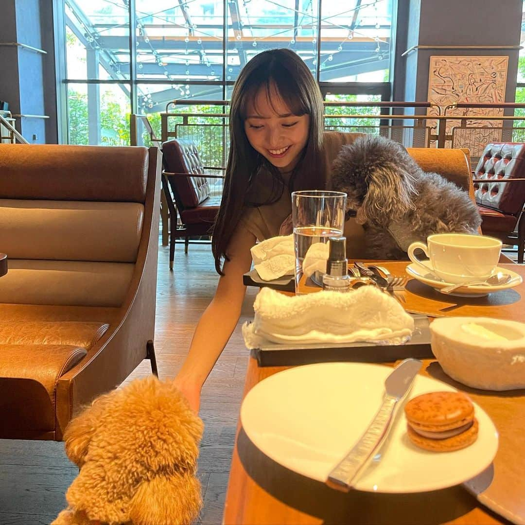 黒口那津さんのインスタグラム写真 - (黒口那津Instagram)「わんずとおでかけしたよ💓 犬会🐶のんびり楽しかった🥰 家族写真はなかなか苦労したよ🌝 #わんこのいる生活」4月23日 11時04分 - rmn69bnn