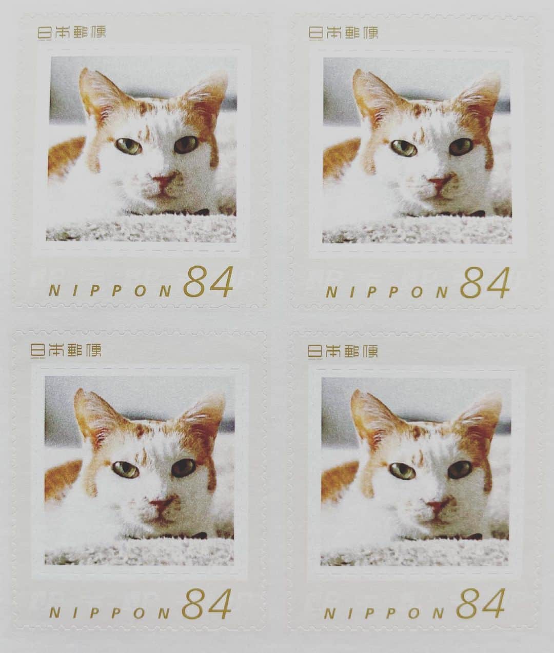 猫沢エミさんのインスタグラム写真 - (猫沢エミInstagram)「どなたかが、こんな素敵なものを作って送ってくださった！  日本郵便でオーダーできるのね👀  イオちゃーん…🥲💕  #猫沢イオ　#イオちゃんフォーエバー #イオちゃん切手ご利益ありそう　#発売はしてないです😅 #愛猫さんを切手にできるとな👀」4月23日 12時46分 - necozawaemi