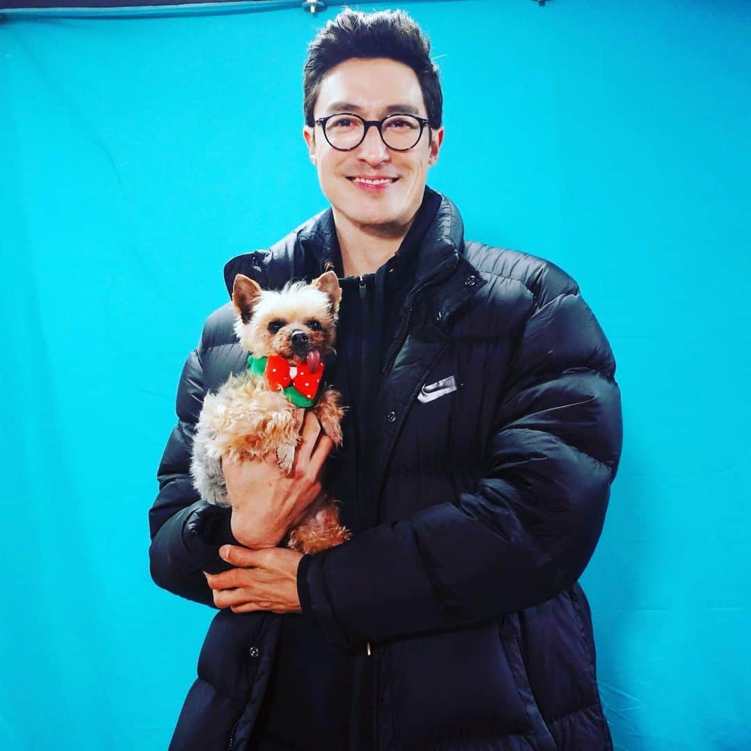 のインスタグラム：「(English at bottom) 얼마 전 @kdsrescue 코리안독스의 도움으로 번식장에 있던 60마리가 넘는 소중한 아이들을 1차 2차 3차에 걸쳐 구조했습니다. 저와  @stephanielee199 는 3차 때 함께 동참했는데요. 구조된 아이들 중 우선 아래 세 마리가 평생 함께할 가족을 찾고 있습니다. 아이들이 따듯한 가족의 품으로 갈 수 있도록 함께 도와주세요. 저도 힘이 닿는 데까지 돕도록 하겠습니다.  관심 있으시고 도와주실 수 있는 분들은 @kdsrescue 로 연락 부탁드립니다.  저는 이번 주 토요일 밤 10:50에 TVN 업글인간에서 또 한 번 찾아뵐께요.  #사지말고입양하세요  ⠀⠀⠀⠀⠀  🌸이름 : 파피 (갈색 푸들) 성별 : 여아 (중성화 完) 나이 : 6세 이상 추정 몸무게 : 4kg  처음 보는 사람에게도 무한 애정을 보내주는 사랑스러운 아이! 에너지도 엄청 넘침! 파피와 매일매일 신나는 산책을 즐겨줄 수 있는 엄마 아빠를 찾습니다!  🌸이름 : 맥스 (요크셔테리어) 성별 : 여아 (중성화 完) 나이 : 6세 이상 추정  몸무게 : 4kg  낯을 가려서 처음 보는 사람에겐 겁을 좀 내요. 하지만 그만큼 순한 성격을 가진 아이랍니다. 맘 아프게도 오랜 뜬 장 생활로 등이 살~짝 굽어 있어요. 더 이상 상처받지 않게 곁에서 잘 보살펴줄 분을 찾아요!  🌸이름 : 튼튼이 (말티즈 믹스) 성별 : 남아 나이 : 7세 이상 추정 몸무게 : 4kg   뜬 장에서 힘든 생활을 짐작할 수 있게 마르고 약해진 모습이 맘을 아프게 해요. 구조된 후 하루하루가 다르게 힘을 회복하고 있지만, 따뜻한 보금자리에서 사랑을 받으면 더 빨리 회복할 거 같아요!  ⠀⠀⠀⠀⠀  🌸이름 : 포스터 (요크셔테리어) 성별 : 여아 (중성화 完) 나이 : 6세 이상 추정 몸무게 : 3kg  차분하고 스윗한 성격으로 다른 강아지들과도 잘 어울려요. 턱과 이빨이 좋지 않아 자연스럽게 메롱을 하게 되는데 이 또한 매력 포인트 (※참고: 메롱은 다니엘 헤니가 제일 좋아하는 매력♥)  🌸이름 : 해피 (블랙 푸들)  성별 : 여아  나이 : 6세 이상 추정 몸무게 : 4kg *심장 사상충이 걸려있어 입양or입양 전제로 한 임보만 가능합니다.  에너제틱한 성격으로 친화력이 좋음. 다른 강아지들과도 잘 어울리며 보는 이들에게 행복한 기운을 전파하는 아이! 오랜 번식장 생활로 이빨에 문제가 조금 있지만 충분히 좋아질 수 있으니 잘 돌봐 줄 수 있는 분을 찾아요♥  🌸이름 : 덕수 (스피치) 성별 : 남아 나이 : 4세 이상 추정 몸무게 : 7kg  *심장 사상충이 걸려있어 입양or입양 전제로 한 임보만 가능합니다.  구조된 아이들 중에 제일 큰 덩치를 자랑하는 친구! 이 아이를 안을 땐 푹신한 털이 스윗해 마치 곰돌이 같은 매력이 느껴져요. 친화력이 매우 좋고 사진 찍을 때 모델 뺨치는 포즈를 자랑합니다♥  🌸이름 : 컬리 (갈색 푸들)  성별 : 남아 (중성화 完) 나이 : 5세 이상 추정 몸무게 : 4kg  매우 건강하고 활발한 성격을 가진 아이! 폭풍 애교로 한 시도 눈을 뗄 수 없게 하며 보는 이들을 웃음 짓게 만드는 사랑스러운 매력의 소유자♥ 좋은 엄마 아빠만 만난다면, 더 행복하게 지낼 수 있을 거예요!  🌸이름 : 럭키 (시추) 성별 : 남아 (중성화 完) 나이 : 6세 이상 추정 몸무게 : 4kg  초롱초롱한 큰 눈으로, 바라만 봐도 많은 조언(?)을 해줄 것 같은 멋진 녀석! 행운 덩어리 럭키와 함께 럭키한 일상을 함께 하실 분을 찾아요! ⠀⠀⠀⠀⠀⠀⠀ 2 weeks ago with the help of @kdsrescue and the amazing @stephanielee199 ...we were able to extract 60 dogs from a puppy mill a couple hours outside of Seoul.  They’ve had their check ups and are now ready to find their forever homes.  All have lived through unimaginable circumstances and are the sweetest, most grateful beings you will ever meet.  Most are between 4-6 yrs old.  If interested pls send your DMs to @kdsrescue to inquire. ❤️ Thank You!」