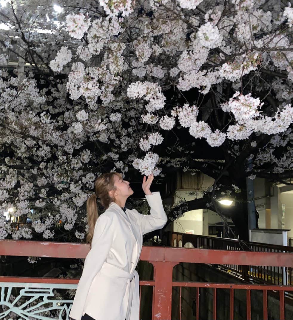 高橋かのさんのインスタグラム写真 - (高橋かのInstagram)「夜桜綺麗すぎた🤍 YouTubeも撮ったから見てね!📸  そして毎月お顔のメンテナンスをしてもらっている @oasis_tokyo_official で今回もハイフをしていただきました✴︎ いつもありがとうございます‼︎  @lapis_anju にエクステもつけていただきました✴︎ロング好評で嬉しい！」4月8日 23時10分 - kano0825