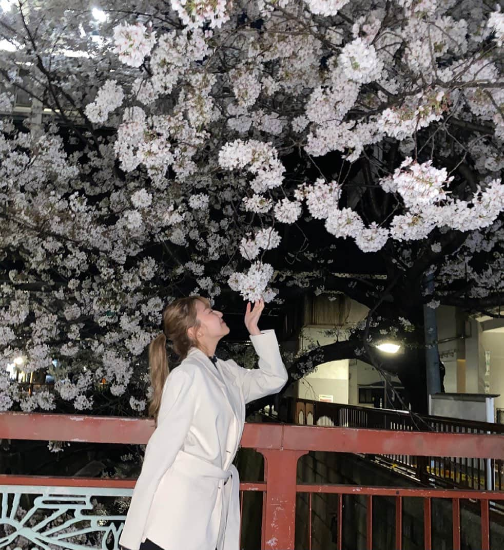 高橋かののインスタグラム：「夜桜綺麗すぎた🤍 YouTubeも撮ったから見てね!📸  そして毎月お顔のメンテナンスをしてもらっている @oasis_tokyo_official で今回もハイフをしていただきました✴︎ いつもありがとうございます‼︎  @lapis_anju にエクステもつけていただきました✴︎ロング好評で嬉しい！」