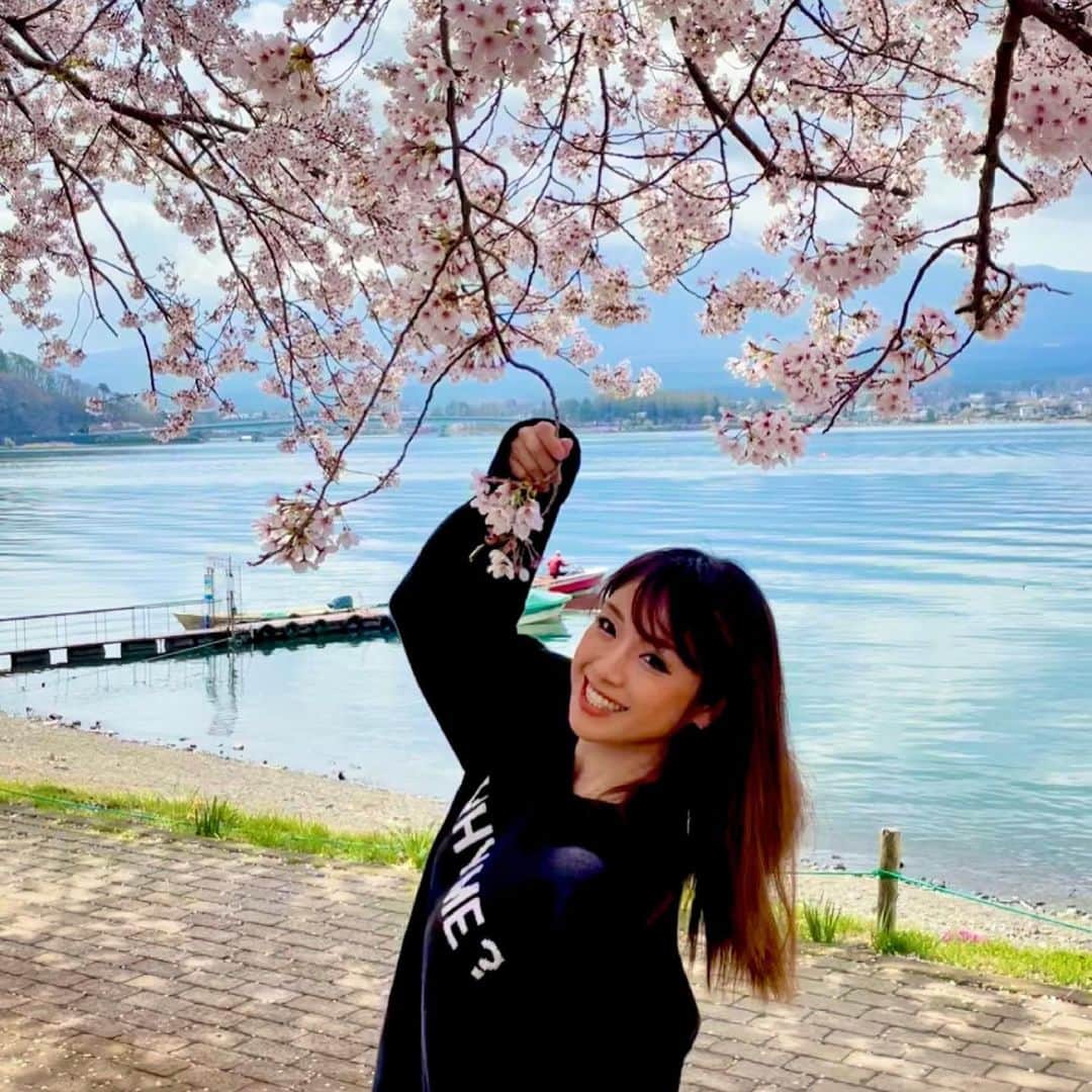 maikoのインスタグラム：「桜満開の河口湖にワープ🌸🌸✨. . 雪化粧の大迫力の富士山に、桜が溢れるほどに満開で静かな水面が揺れててすごく気持ち良くて、. 一生忘れられなぃ景色に心から感動☺️✨. . 大自然のパワーと笑顔と元気もらっちゃぃました🌸🌸😋💕. レストランもパンも美味しかった🤤🤤🤤💕.」