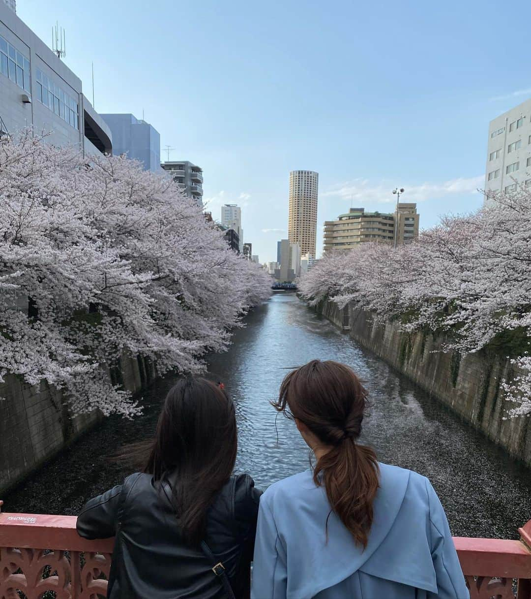 穂川果音さんのインスタグラム写真 - (穂川果音Instagram)「いつかの桜を見に行った時の写真📸 関東地方は、すっかり葉桜に🍃 桜🌸綺麗だったなぁ〜 最近は、八重桜を見かけるようになって、これもまた嬉しい気持ちに🌸 お花ってすごいなぁ〜  ではでは、お休みなさい〜  　#思い出写真　#桜　#sakura #spring」4月8日 23時47分 - hokawakanonn